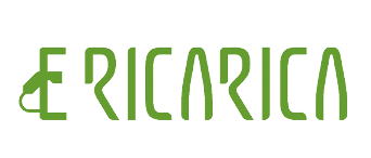 eRicarica